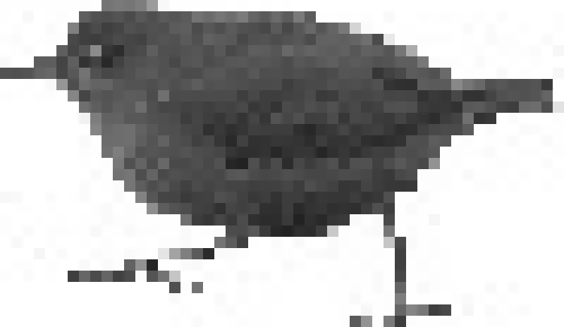 The source image the pixel logo was encoded from, a dipper in a fifty by twenty nine pixel box